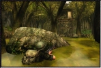Conflict: Vietnam image